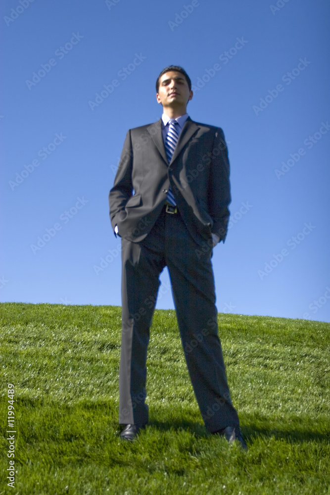 Successful businessman Successful businessman
