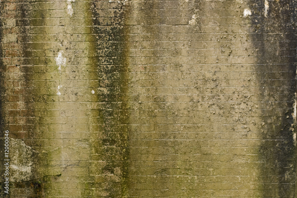 Fotografie alte steinmauer