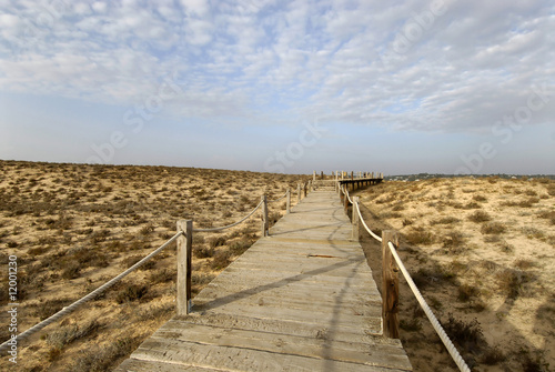 Beach in Algarve