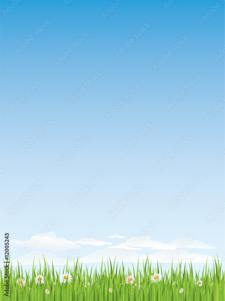 Obraz premium Spring grass and flowers. Seamless illustration