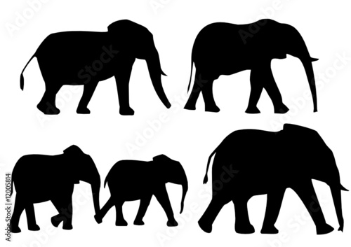 Elefanten photo