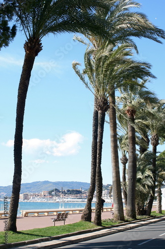 Cannes croisette photo