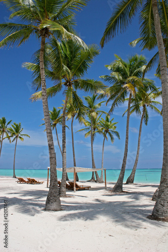 Tropical Scene On The Beach Of Caribbean Sea