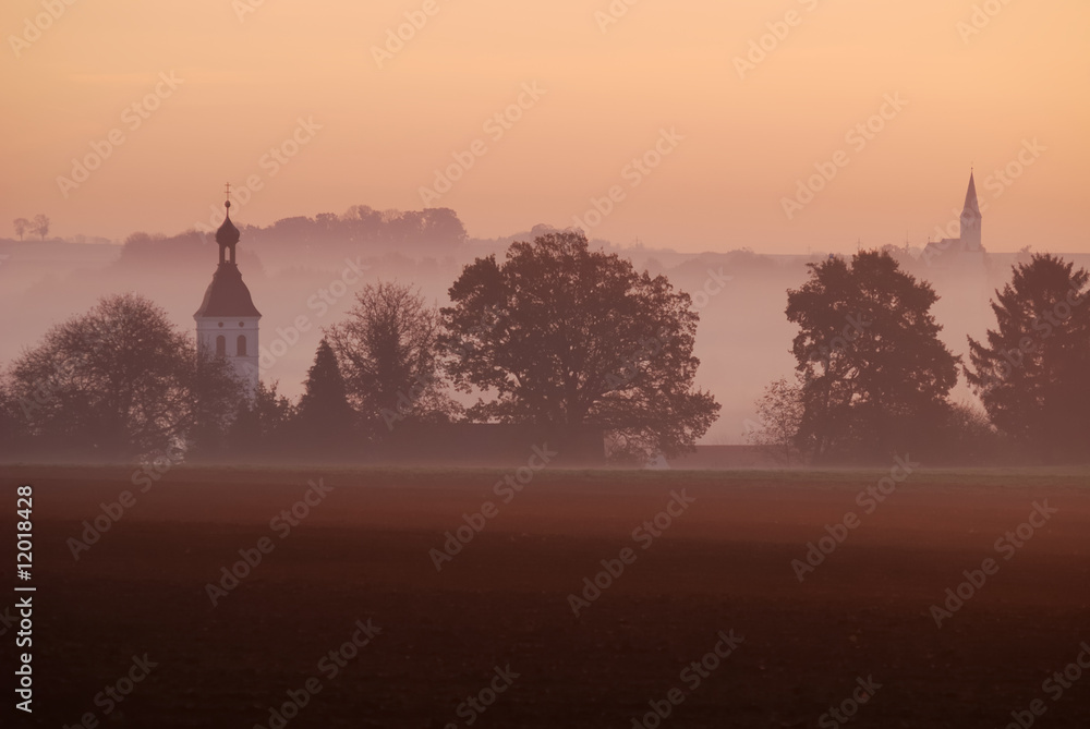 Morning fog