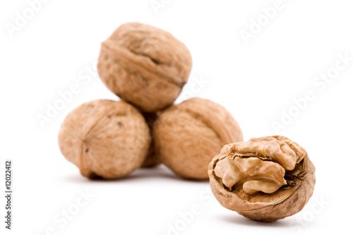 walnut