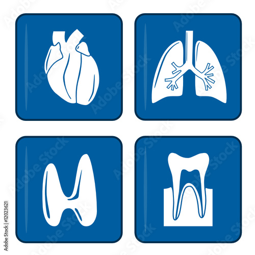 icons - herz - lunge - schilddrüse - zahn