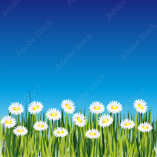 Vector background with flower