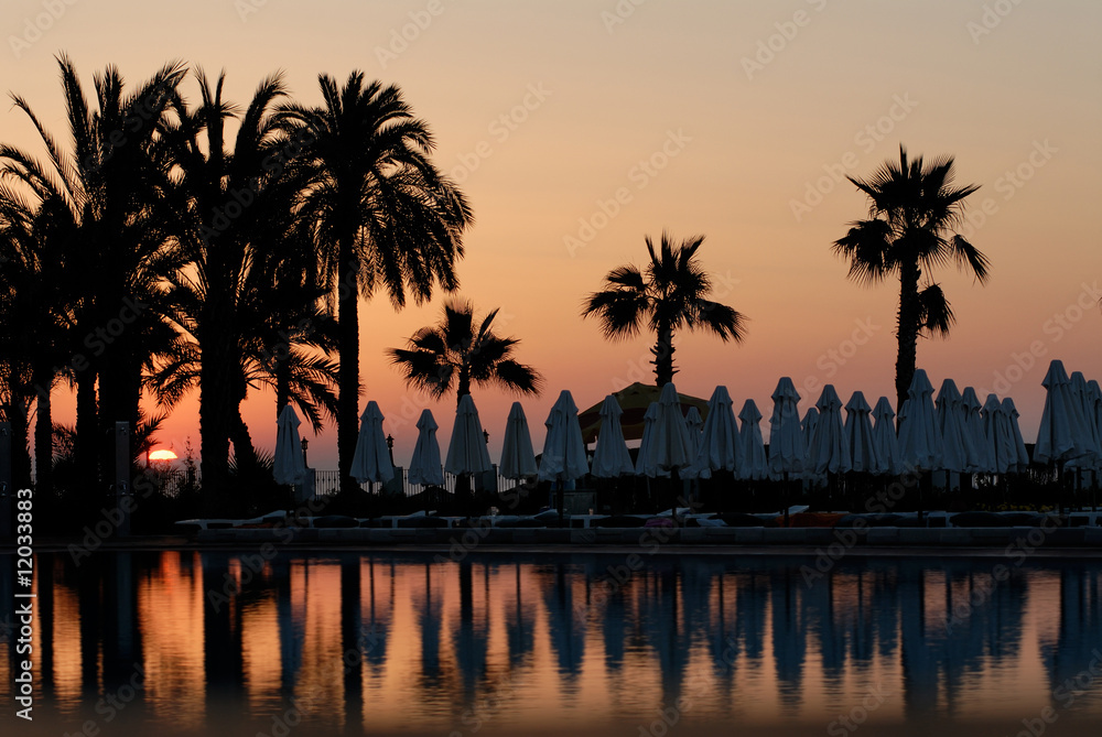 Obraz premium Sunset and palms