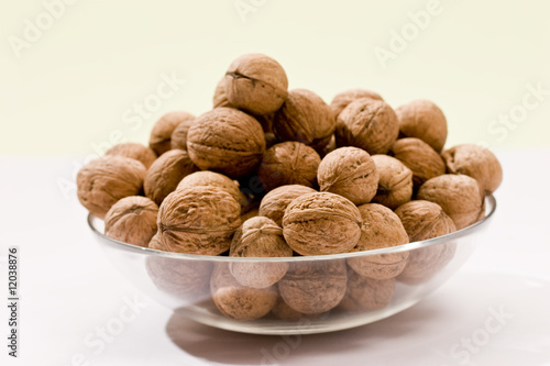 walnut photo