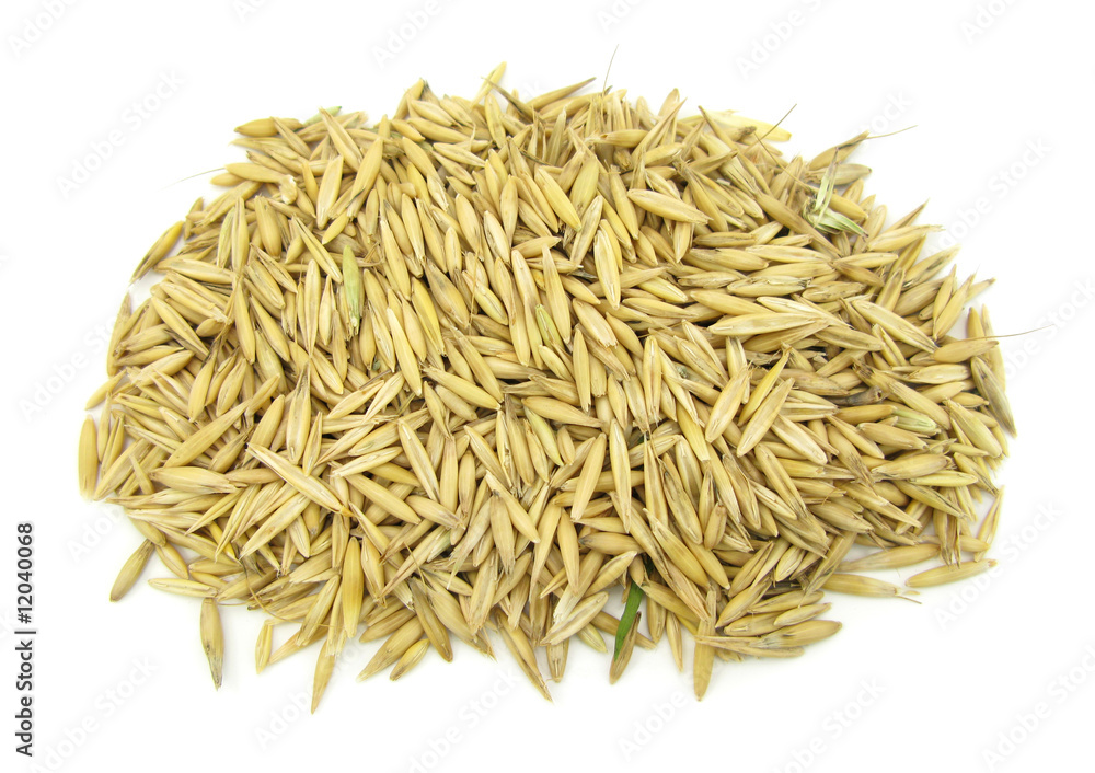 Oats oat grains