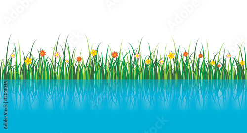 Vector Grass Illustration near the water