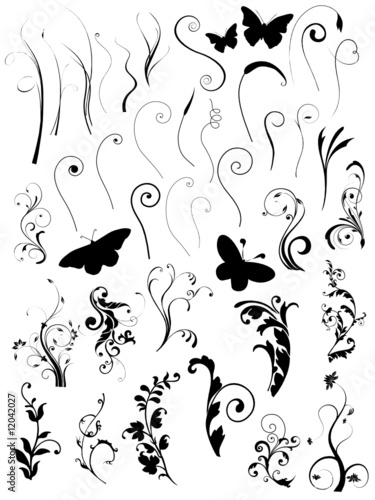 set of floral nature vector