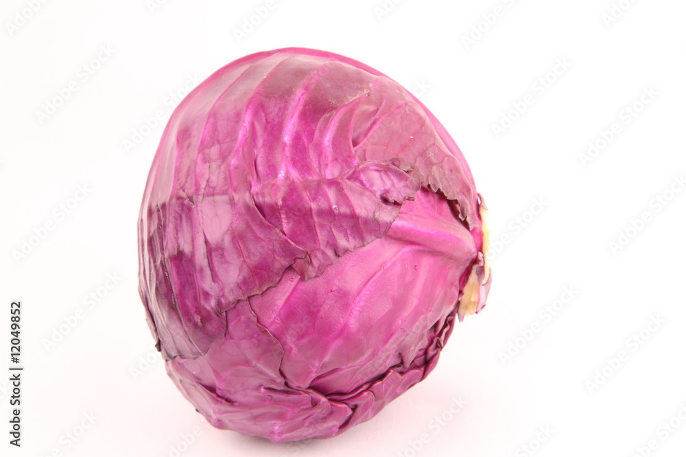 cabbage cabbage