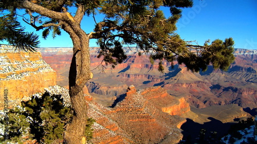 View Of Grand Canyon