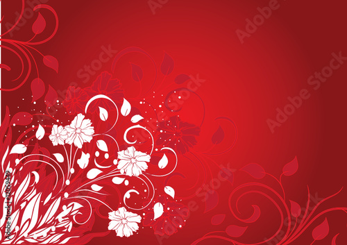 fleurs des champs rouge sintillants