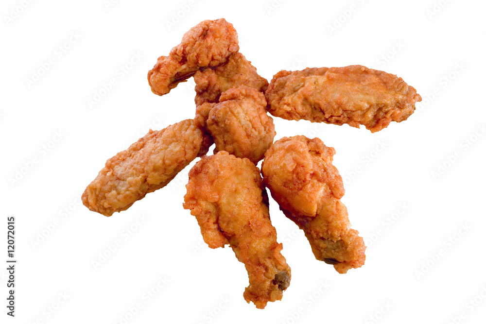 Wing Bird Wing Bird