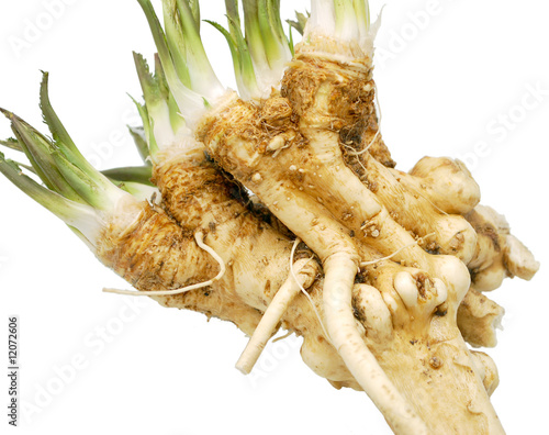 fresh horseradish