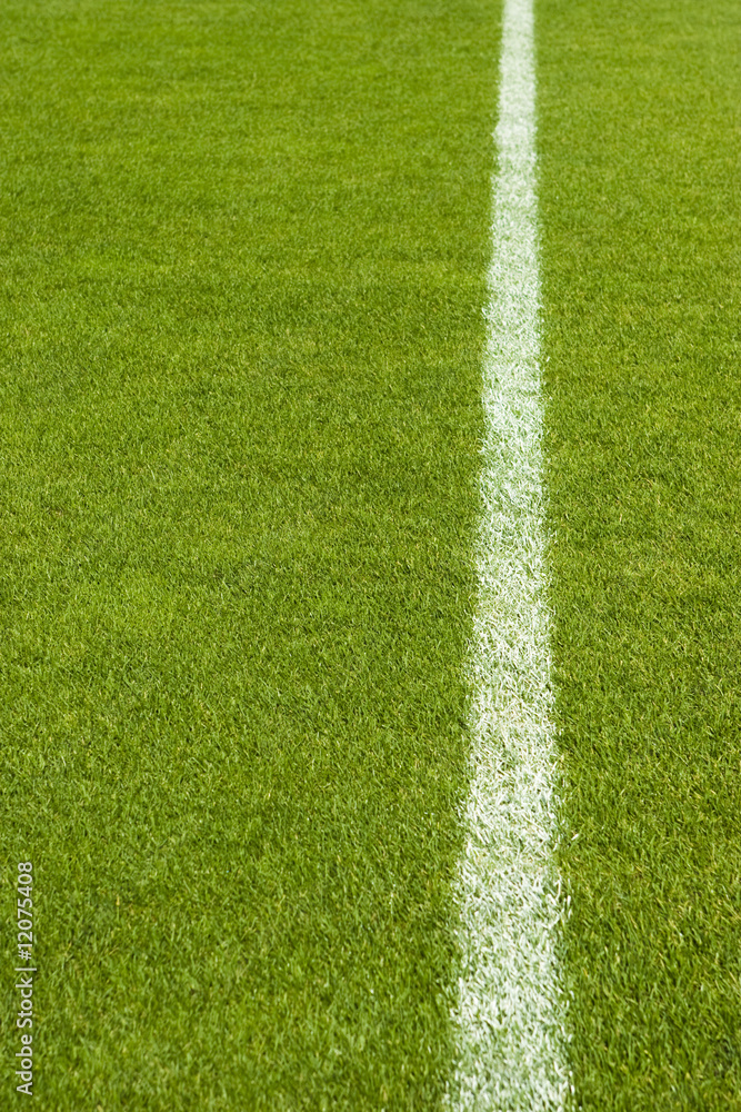 Green Grass and The Line in Soccer Field