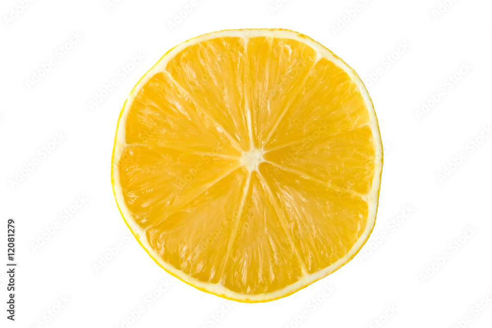 Lemon Section on White Lemon Section on White