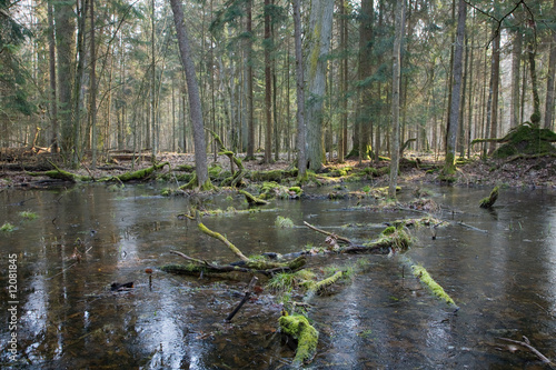 Fototapeta Naklejka Na Ścianę i Meble -  Early spring scenery of Landscape Reserve with frozen water
