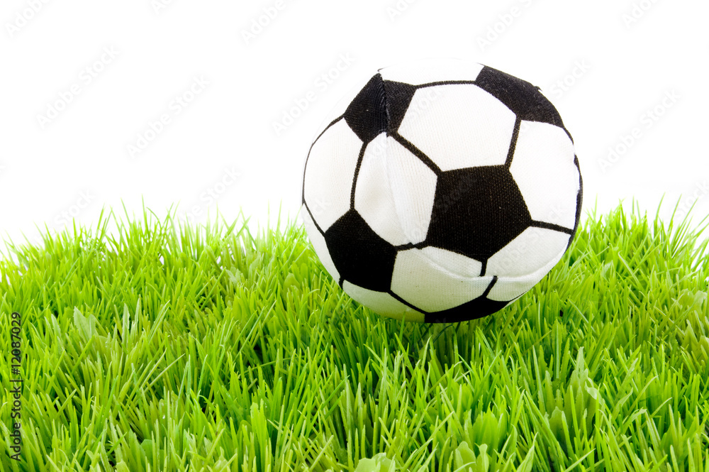 Fototapeta premium soccerball on the grass
