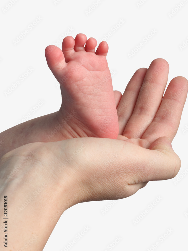 Mother holding her child's feet isolated on white background Mother holding her child's feet isolated on white background