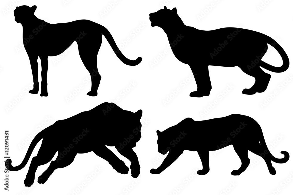 Felino Vettoriale-Big Cats Vecto-Felin Vectoriel