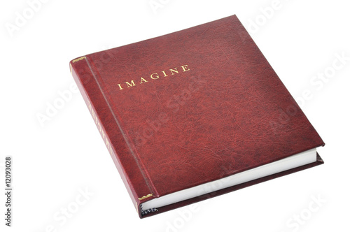 The book in leather binding on white background.