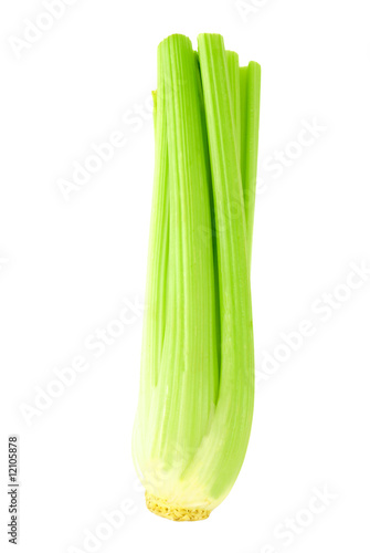 Green celery 4