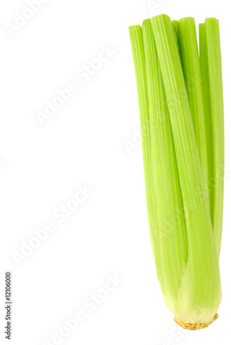 Green celery 7.