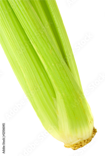 Green celery 8