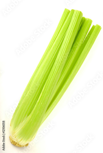 green celery 9