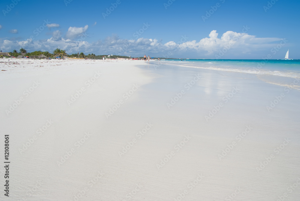 Tropical beach ground level