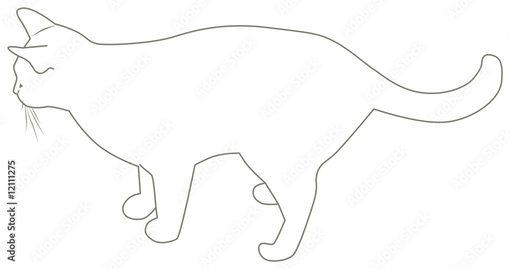Contour of a cat Contour of a cat