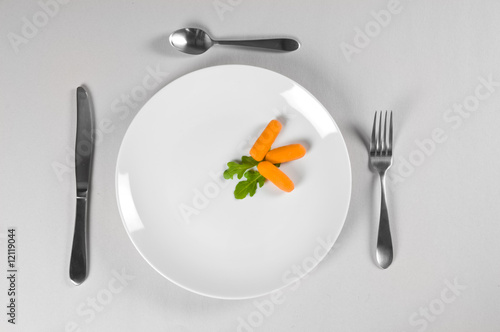 White Plate and Diet