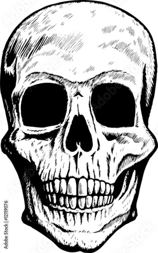 Front Skull