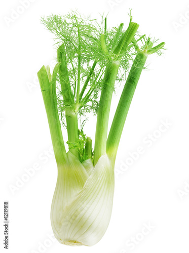 Anise Fennel