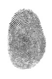 fingerprint