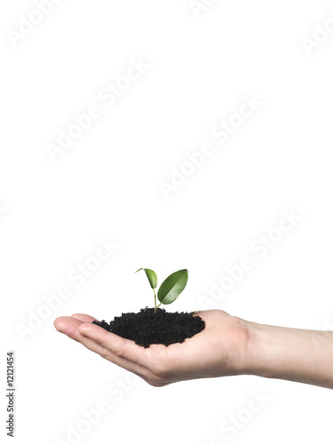 Hand with a growing plant