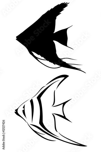 A black tribal angelfish tattoo