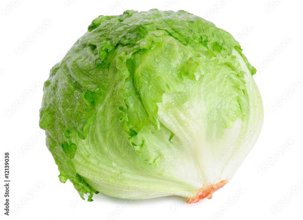 Cabbage lettuce isolated on white - obrazy, fototapety, plakaty 