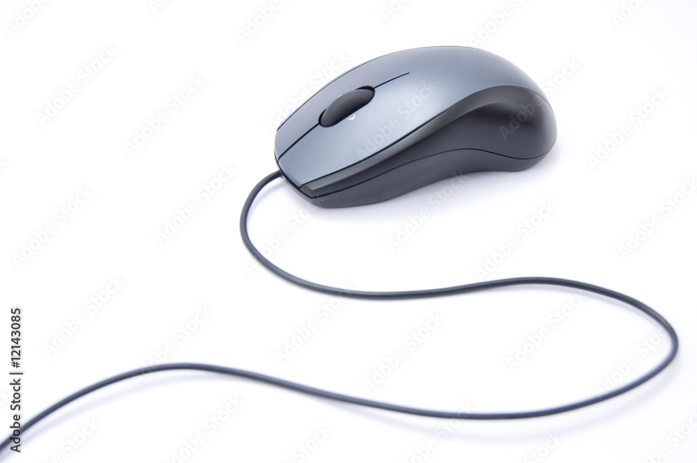 Computer Mouse Computer Mouse