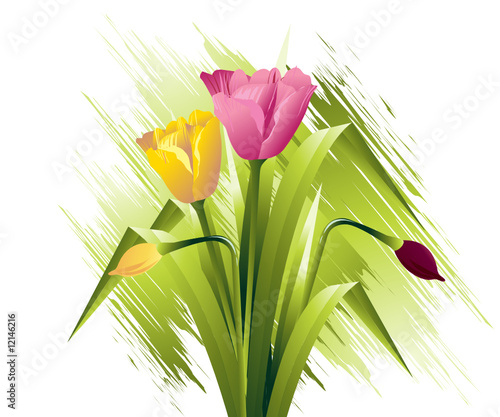 Spring Flowers