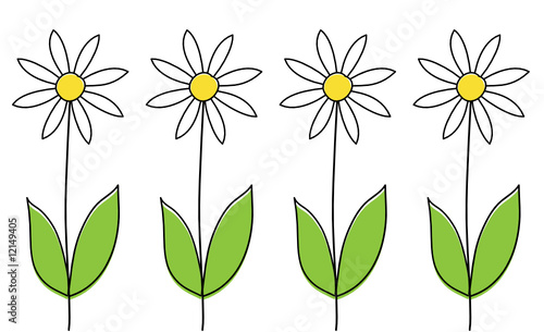 Margeriten