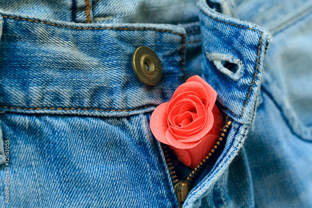 A rose bud in unzipped jeans A rose bud in unzipped jeans