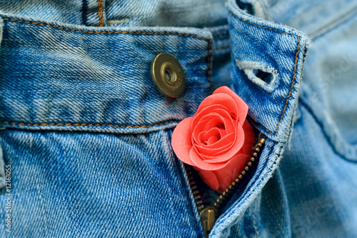 A rose bud in unzipped jeans