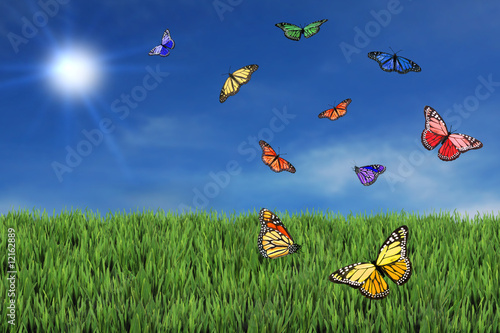 Wild and Free Butterflies