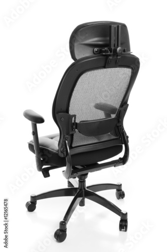 Ergonomic Office Chair Rear