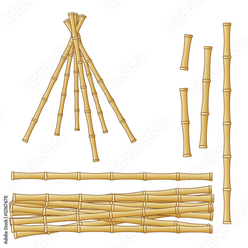 bamboo da costruzione