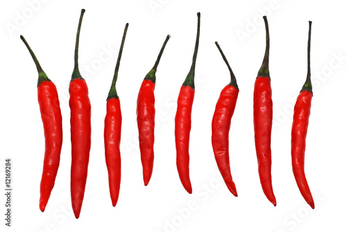 Red chili peppers isolated over white photo